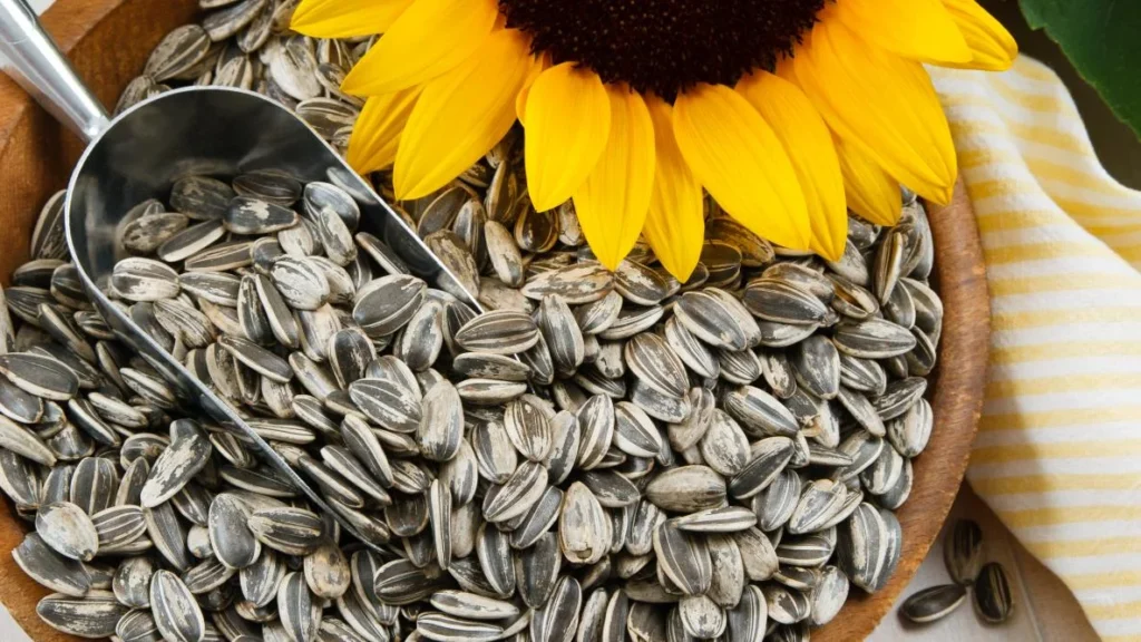 Sunflower Seeds, Immune System Naturally